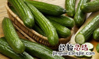 夏季蔬菜有哪些 夏季时令蔬菜有哪些