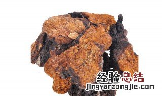 桦树茸的功效及副作用能长期喝吗 桦树茸的功效及副作用
