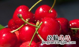 山东樱桃季节是什么时候成熟 樱桃季节是什么时候成熟