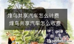 烽鸟共享汽车怎么计费 烽鸟共享汽车怎么收费