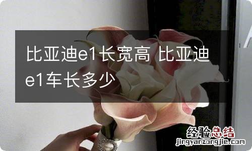 比亚迪e1长宽高 比亚迪e1车长多少