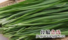 九王的种植方法 九王的种植方法简述