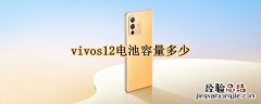 vivos10的电池容量是多少 vivos12电池容量多少