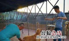 犬舍的建造方法 犬舍的建造方法介绍