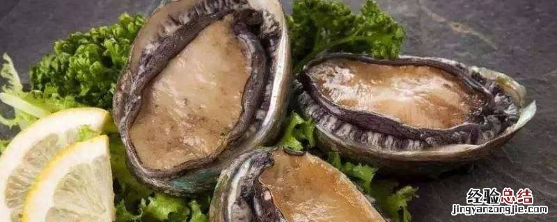鲍鱼变硬还能吃吗