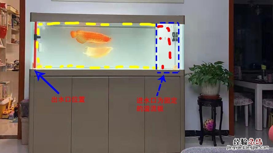 鱼缸放在什么位置最好