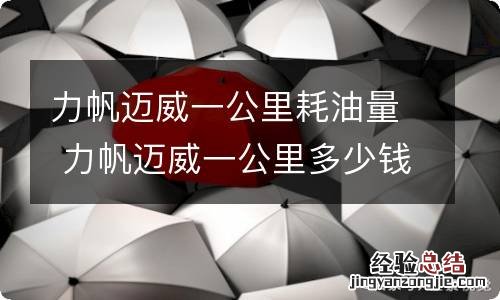 力帆迈威一公里耗油量 力帆迈威一公里多少钱