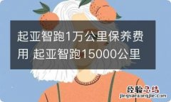 起亚智跑1万公里保养费用 起亚智跑15000公里保养需要换啥