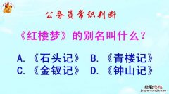 红楼梦5个别名是什么