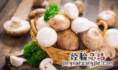 新鲜蘑菇可以冷冻保存吗 新鲜蘑菇可以冷冻保存吗一天