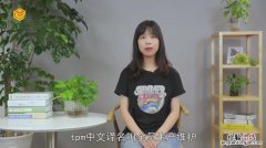 tpm是什么意思