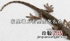 家里有壁虎怎么处理有效 可以试试这两种方法