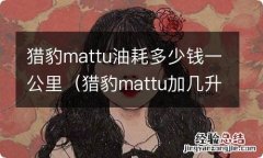 猎豹mattu加几升机油 猎豹mattu油耗多少钱一公里