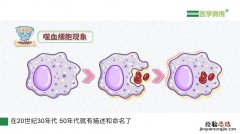 什么是细胞分化