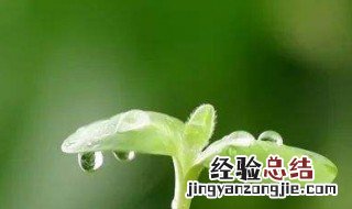 老北京鸡内卷是什么意思 老北京鸡内卷梗来源