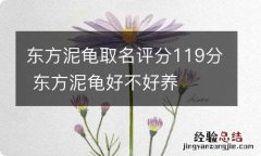 东方泥龟取名评分119分 东方泥龟好不好养