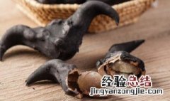 鲜菱角可以冷冻保存吗 菱角可以冷冻保存吗