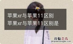 苹果xr与苹果11区别苹果xr与苹果11区别是什么