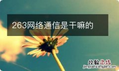 263网络通信是干嘛的