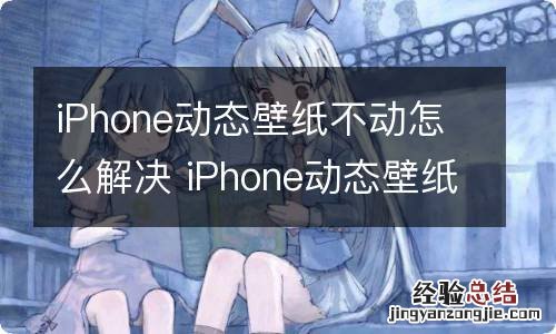 iPhone动态壁纸不动怎么解决 iPhone动态壁纸不动如何解决