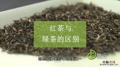 红茶和绿茶的区别