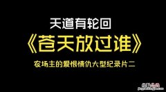 天道轮回苍天饶过谁是什么意思