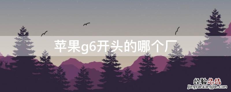 iPhoneg6开头的哪个厂