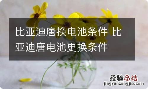 比亚迪唐换电池条件 比亚迪唐电池更换条件