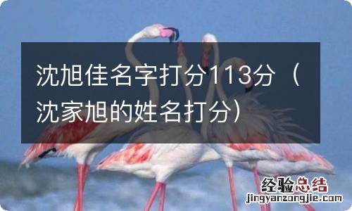 沈家旭的姓名打分 沈旭佳名字打分113分