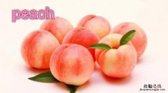 想peach是什么意思