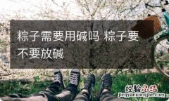 粽子需要用碱吗 粽子要不要放碱