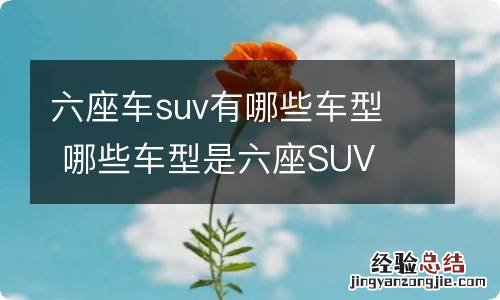 六座车suv有哪些车型哪些车型是六座SUV