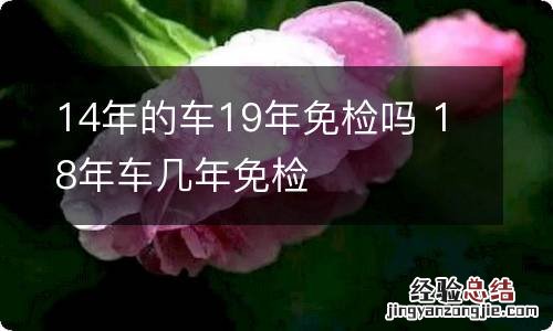 14年的车19年免检吗 18年车几年免检