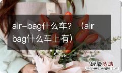 airbag什么车上有 air-bag什么车？