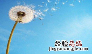 放飞心情的句子唯美 放飞心情的句子唯美列述