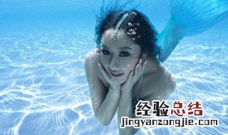 美人鱼的学名叫什么怎么读 美人鱼的学名叫什么