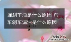 漏刹车油是什么原因 汽车刹车漏油是什么原因