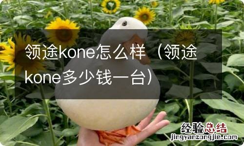 领途kone多少钱一台 领途kone怎么样