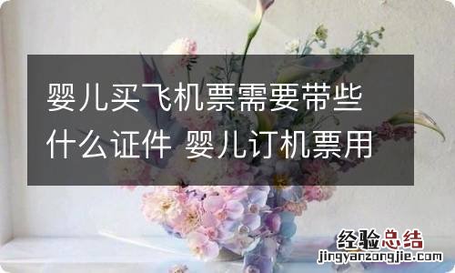 婴儿买飞机票需要带些什么证件 婴儿订机票用什么证件