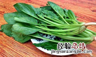 波菜种子图 波菜籽怎么种呢?