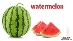 watermelon可数吗