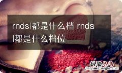 rndsl都是什么档 rndsl都是什么档位