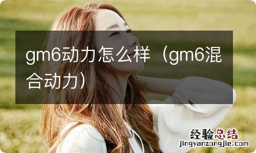 gm6混合动力 gm6动力怎么样
