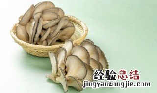 蘑菇有点发黑还能吃吗 蘑菇有点发黑还能吃吗有毒吗