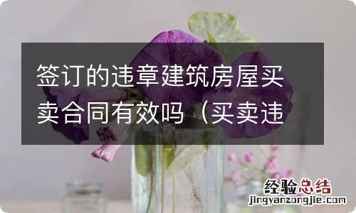 买卖违建房屋 合同效力 签订的违章建筑房屋买卖合同有效吗