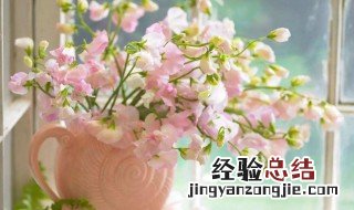 鲜花怎么保存更长 鲜花保存方法介绍