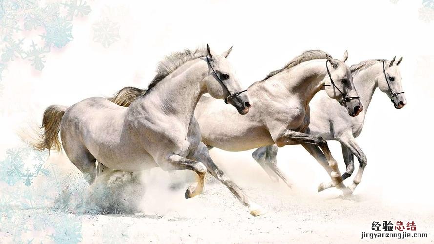 银鞍照白马什么意思