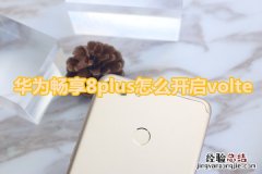 华为畅享8plus怎么开启volte