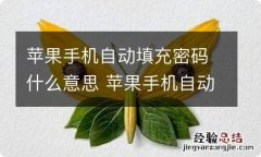 苹果手机自动填充密码什么意思 苹果手机自动填充密码的意思是啥