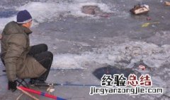 冰钓柳根鱼技巧 冰钓柳根鱼的技巧是什么